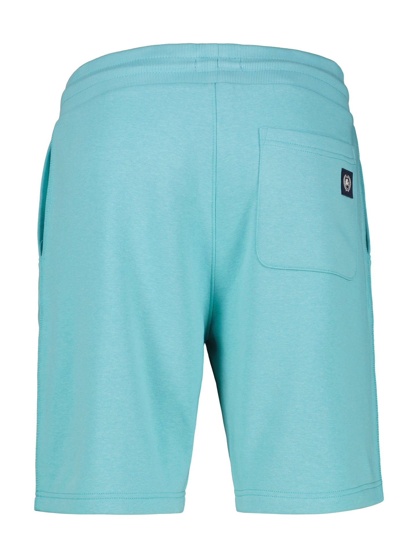 Shorts (Coastal Blue)