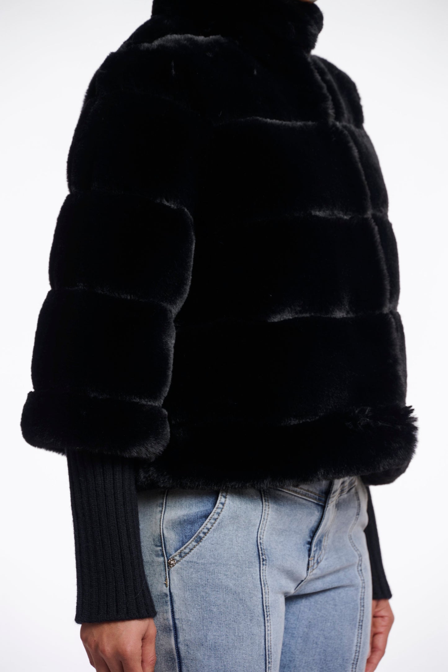 Feline.7002512 (Black)