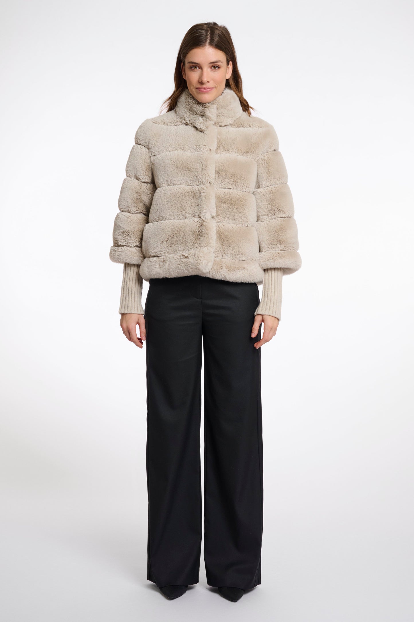 Feline.7002512 (Birch)
