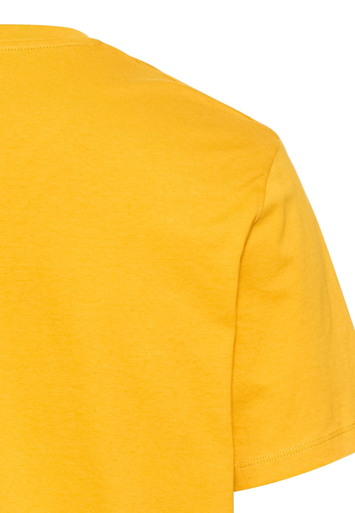 Basic T-Shirt aus reiner Baumwolle (Sunflower)