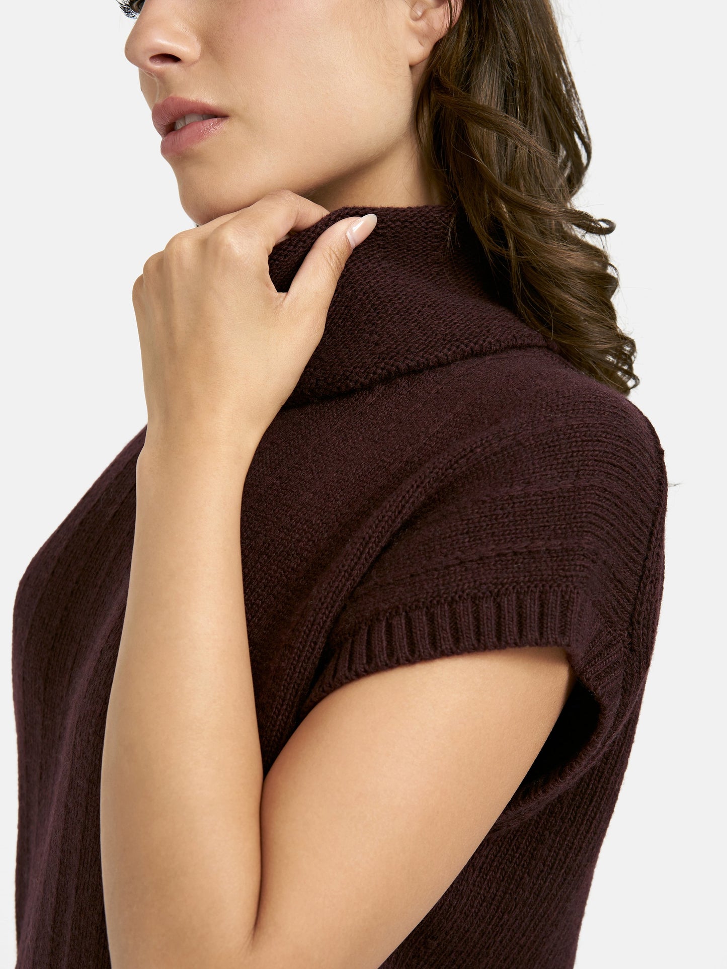 Structure Stripe Slipover (Plum)