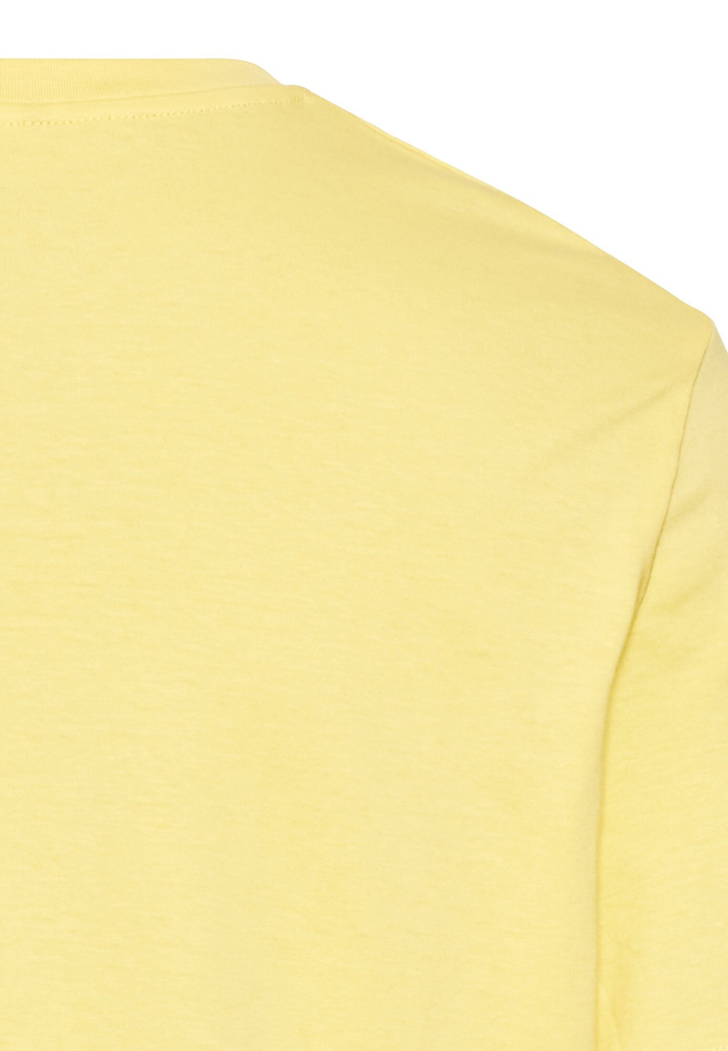 Basic T-Shirt aus reiner Baumwolle (Dusty Citron)