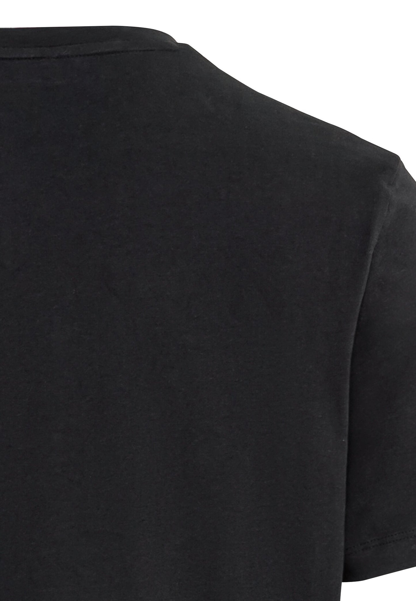 Kurzarm T-Shirt aus Organic Cotton (Asphalt)