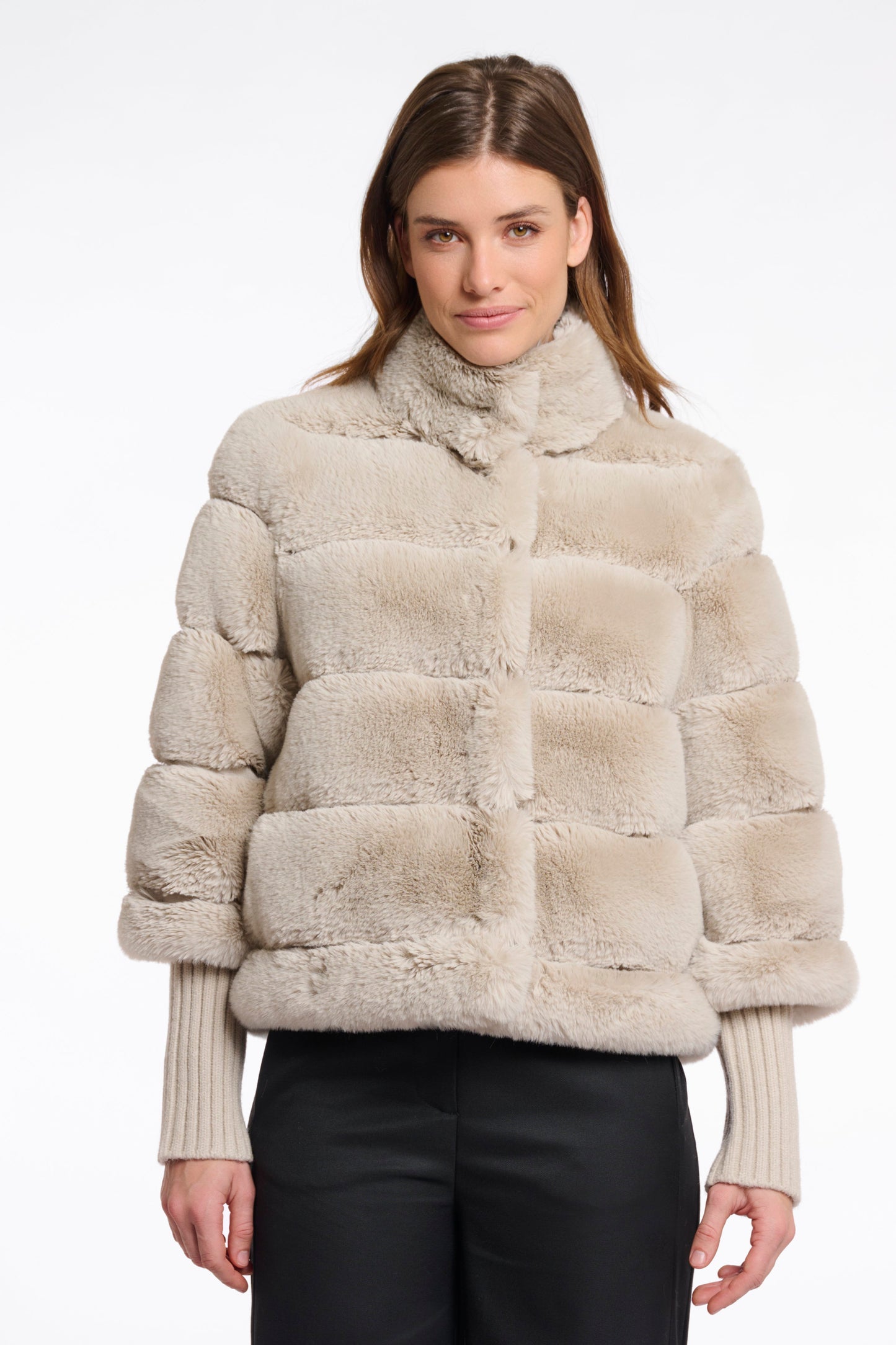 Feline.7002512 (Birch)
