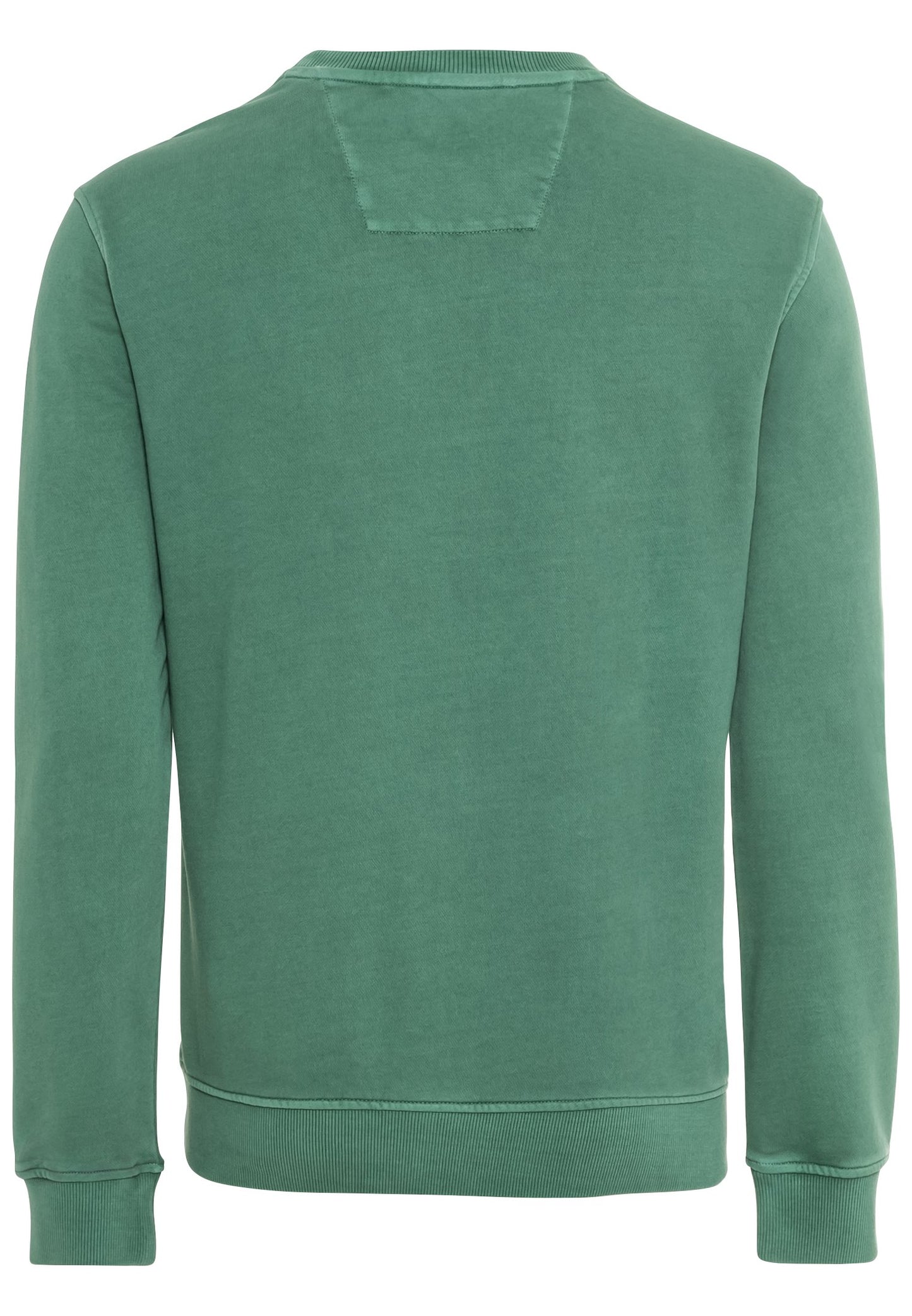 Sweatshirt aus reiner Baumwolle (Fir Green)