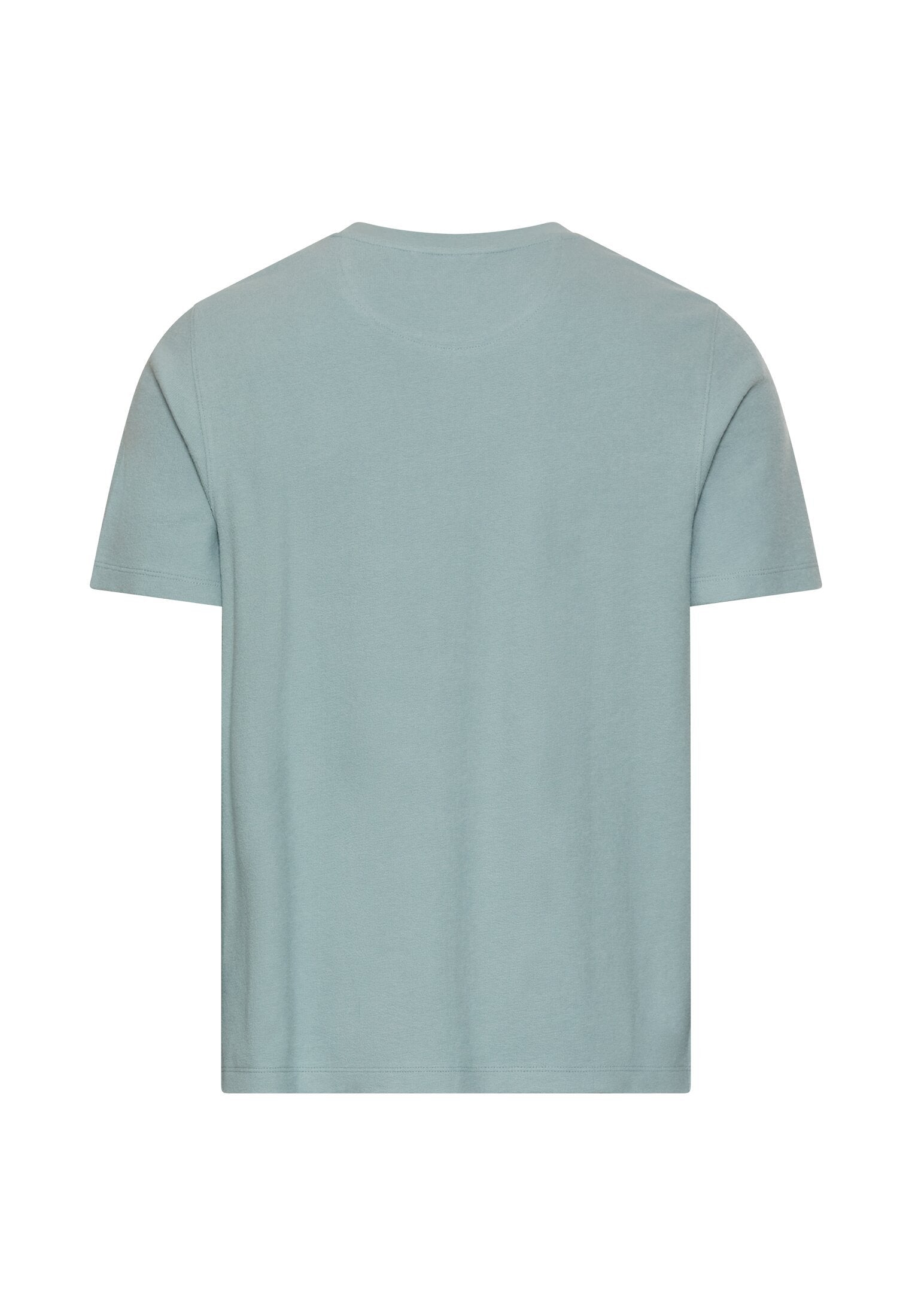 T-Shirt aus reiner Baumwolle (Aqua Blue)