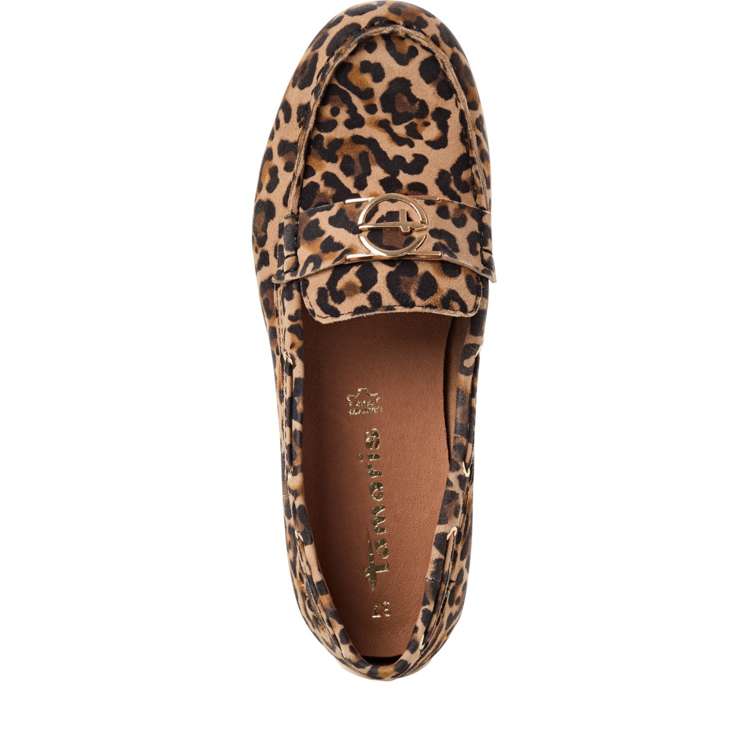 Slipper (Leopard)
