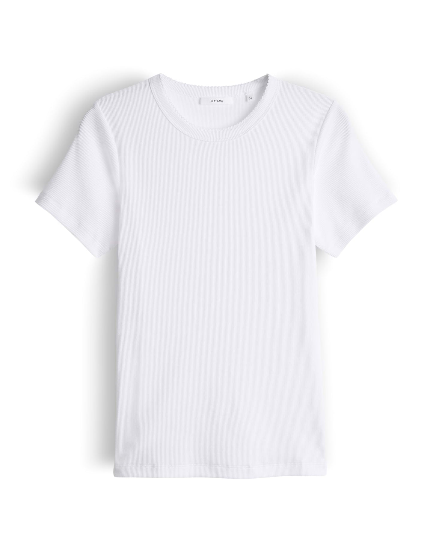 Samuna scallop (White)