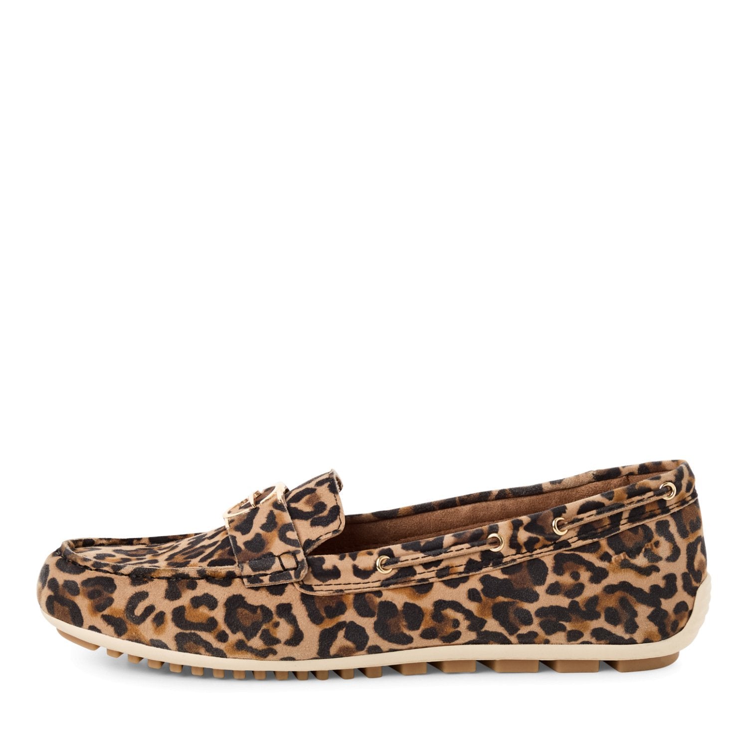 Slipper (Leopard)