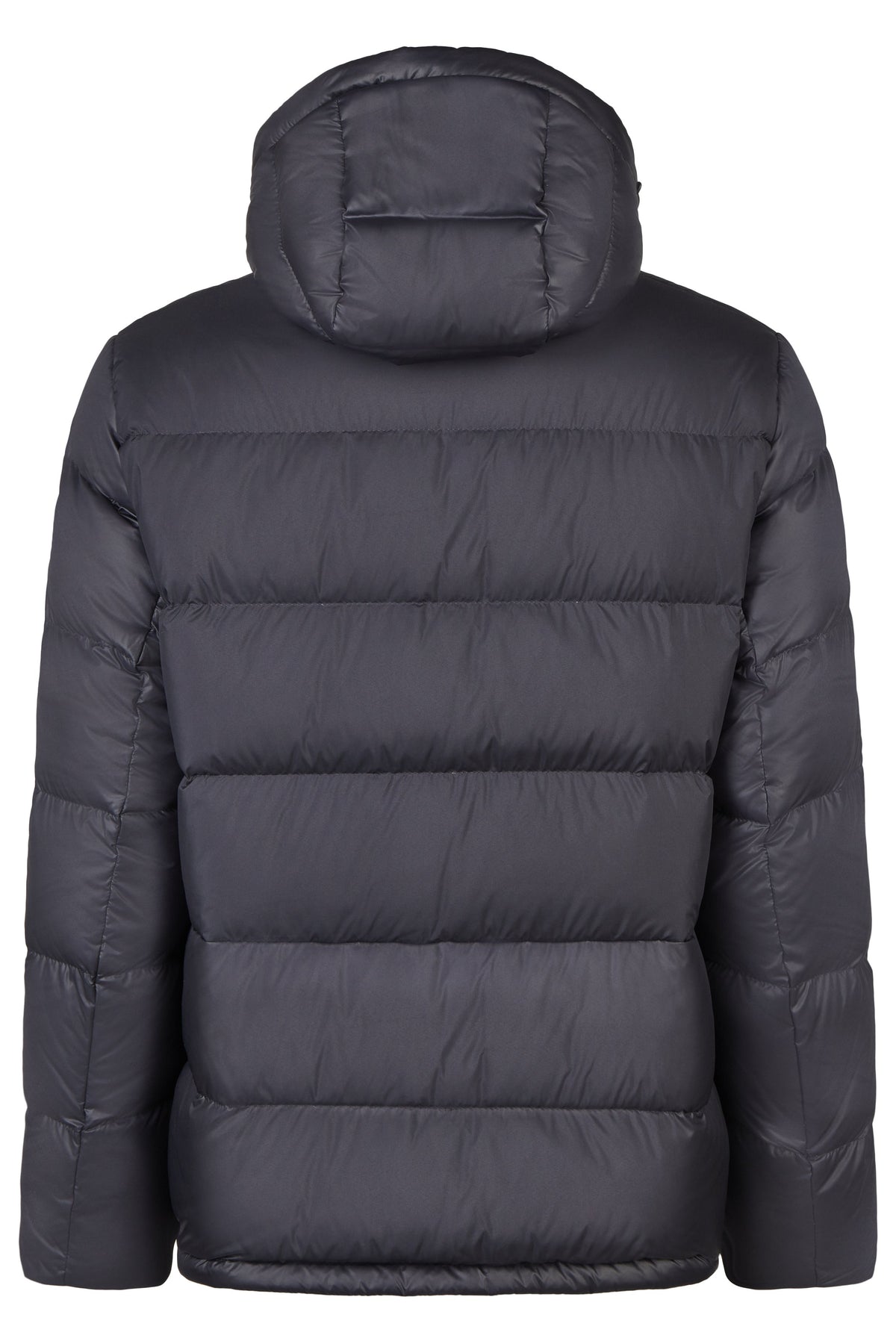 Jackets (Dark Navy)