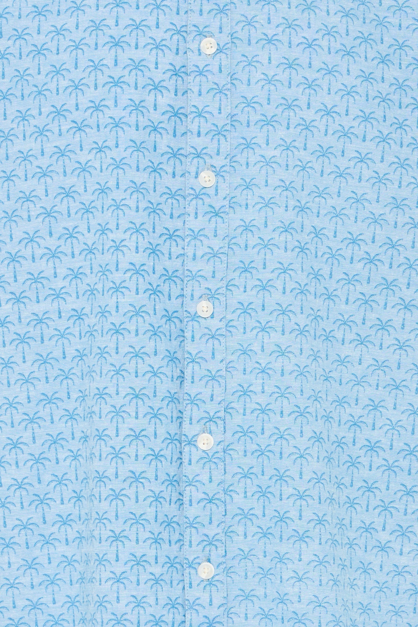 Bhaban Shirt Print (Lichen Blu)