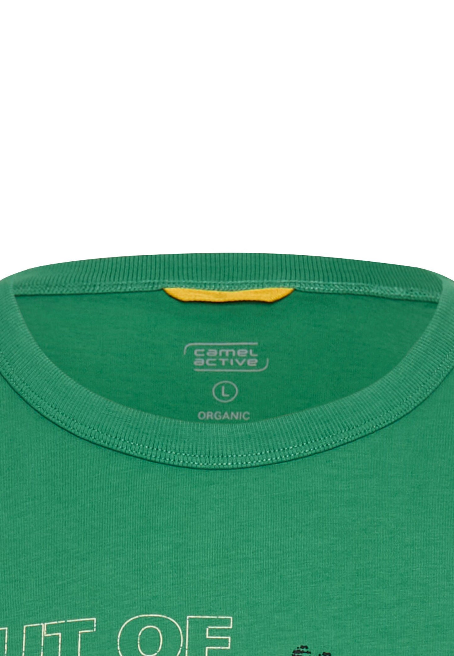 T-Shirt aus reiner Baumwolle (Fir Green)