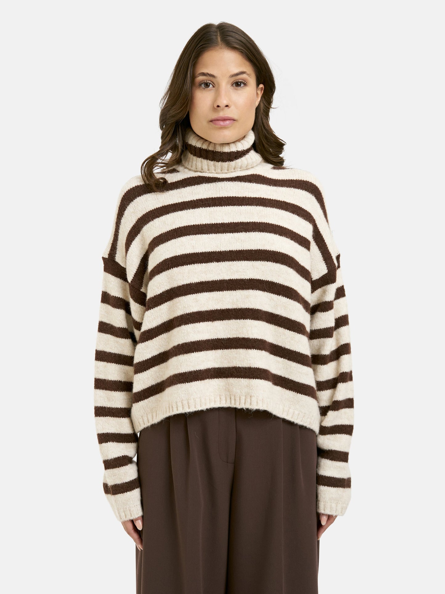 Striped Boxy Turtle Neck Pullover (Choco Print)