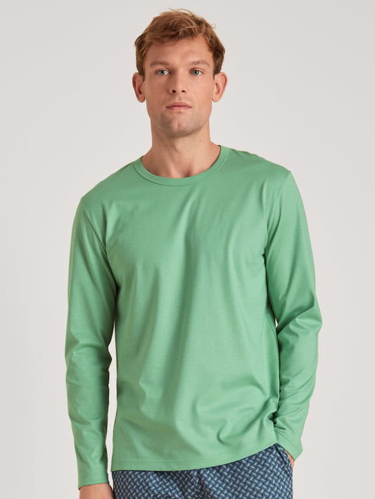 HERREN Shirt langarm (Ming Green)