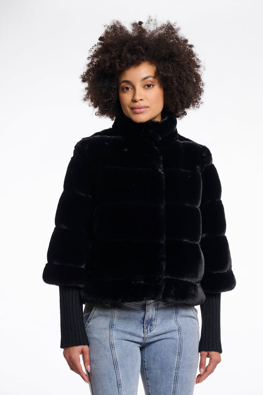 Feline.7002512 (Black)