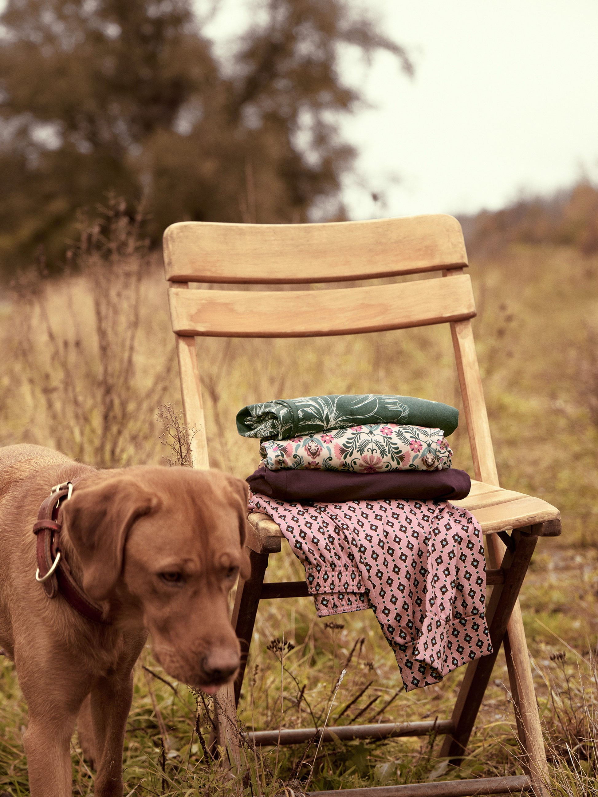 WOMEN Pants (Deep Emerald Gre)