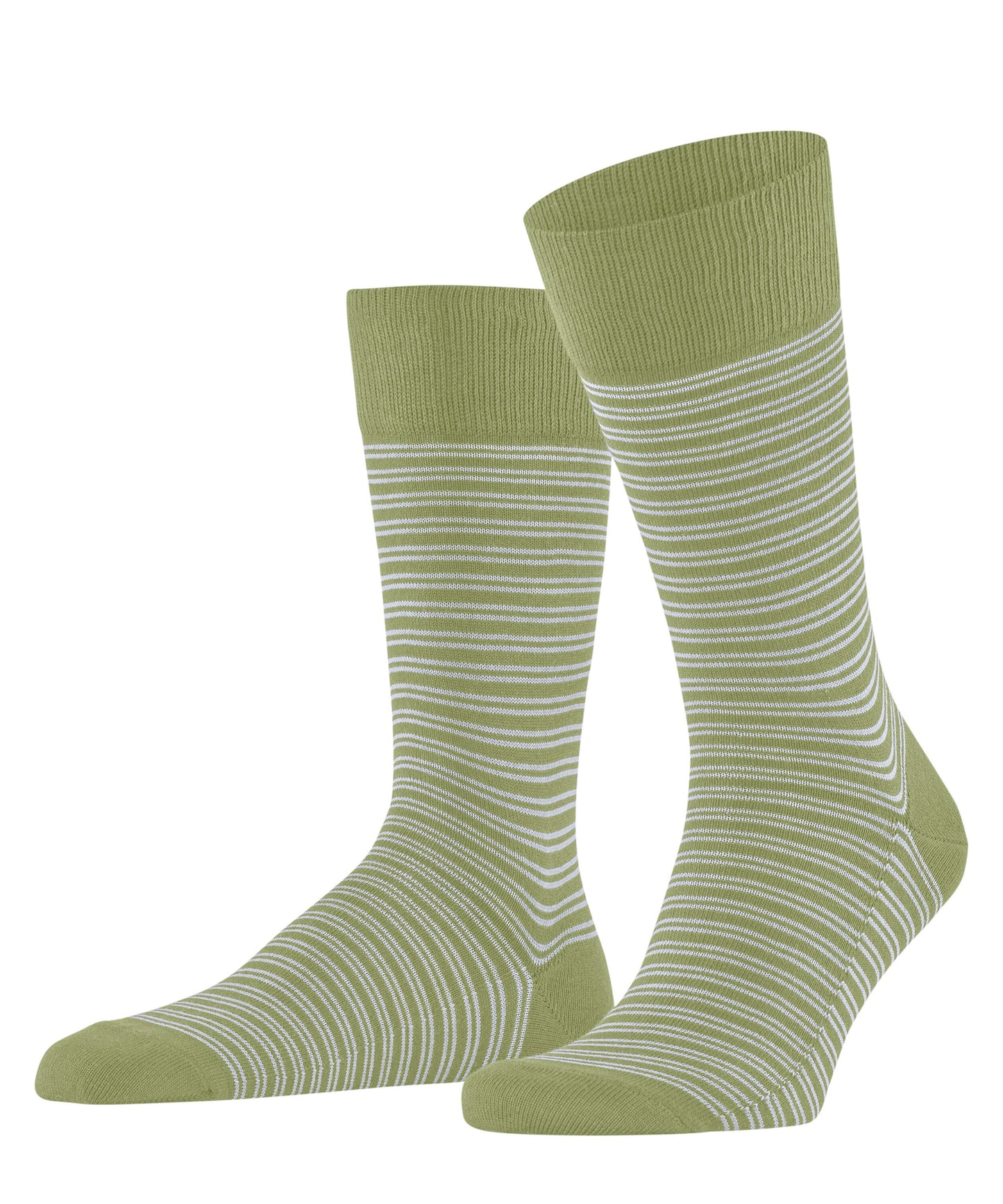 FALKE Family Special Edition Herren (Ferngreen)