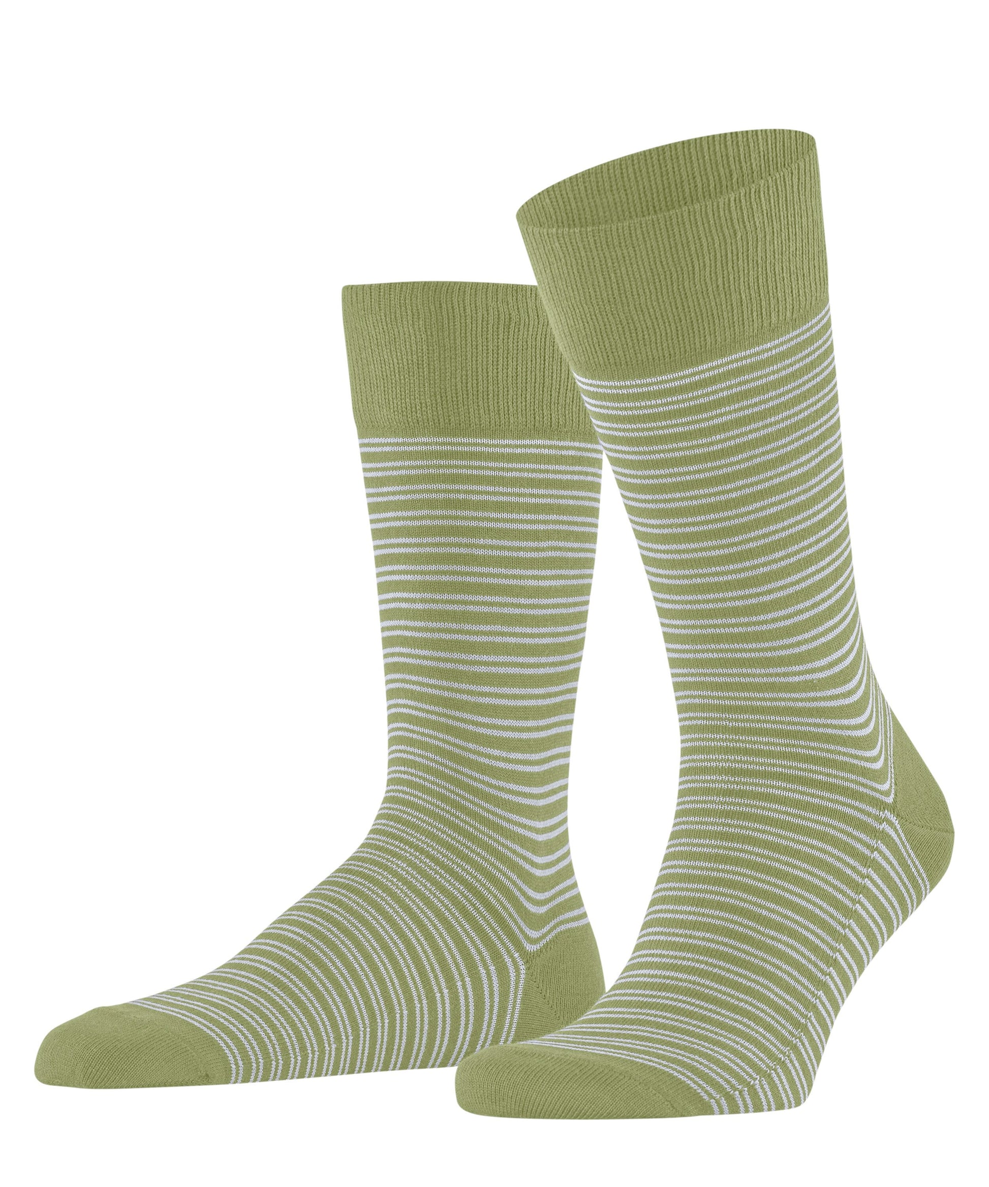 FALKE Family Special Edition Herren (Ferngreen)