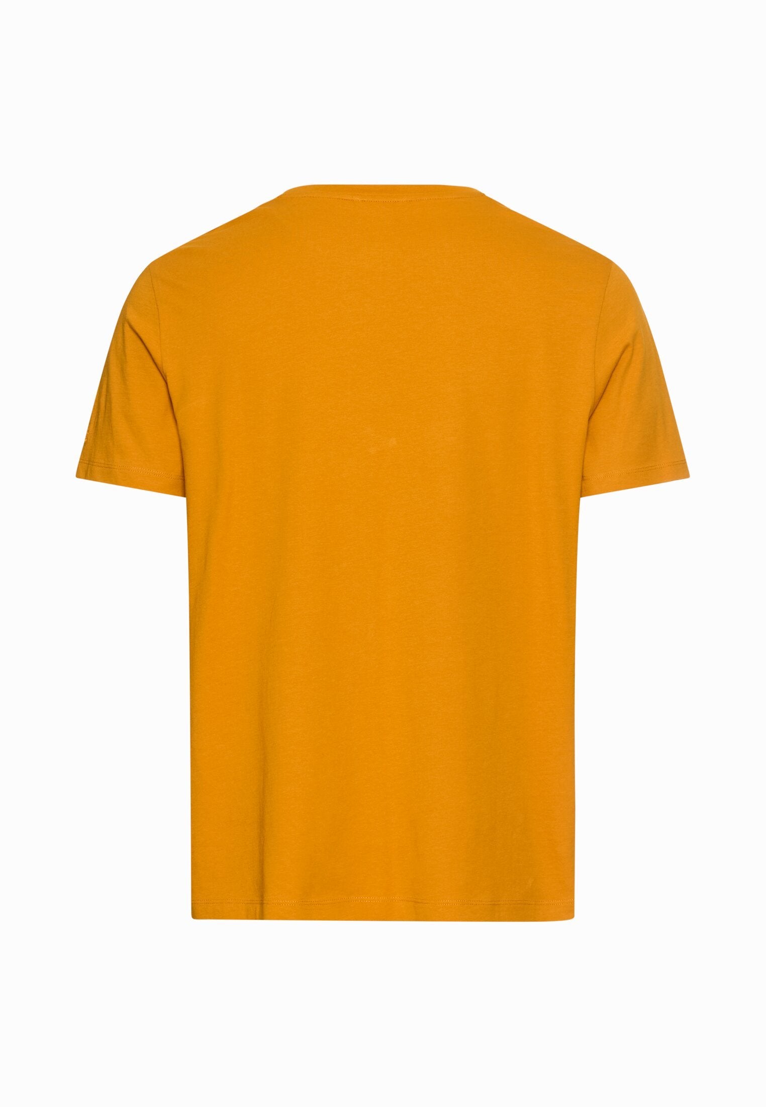 T-Shirt mit Print aus nachhaltigem Organic Cotton (Burned Yellow)
