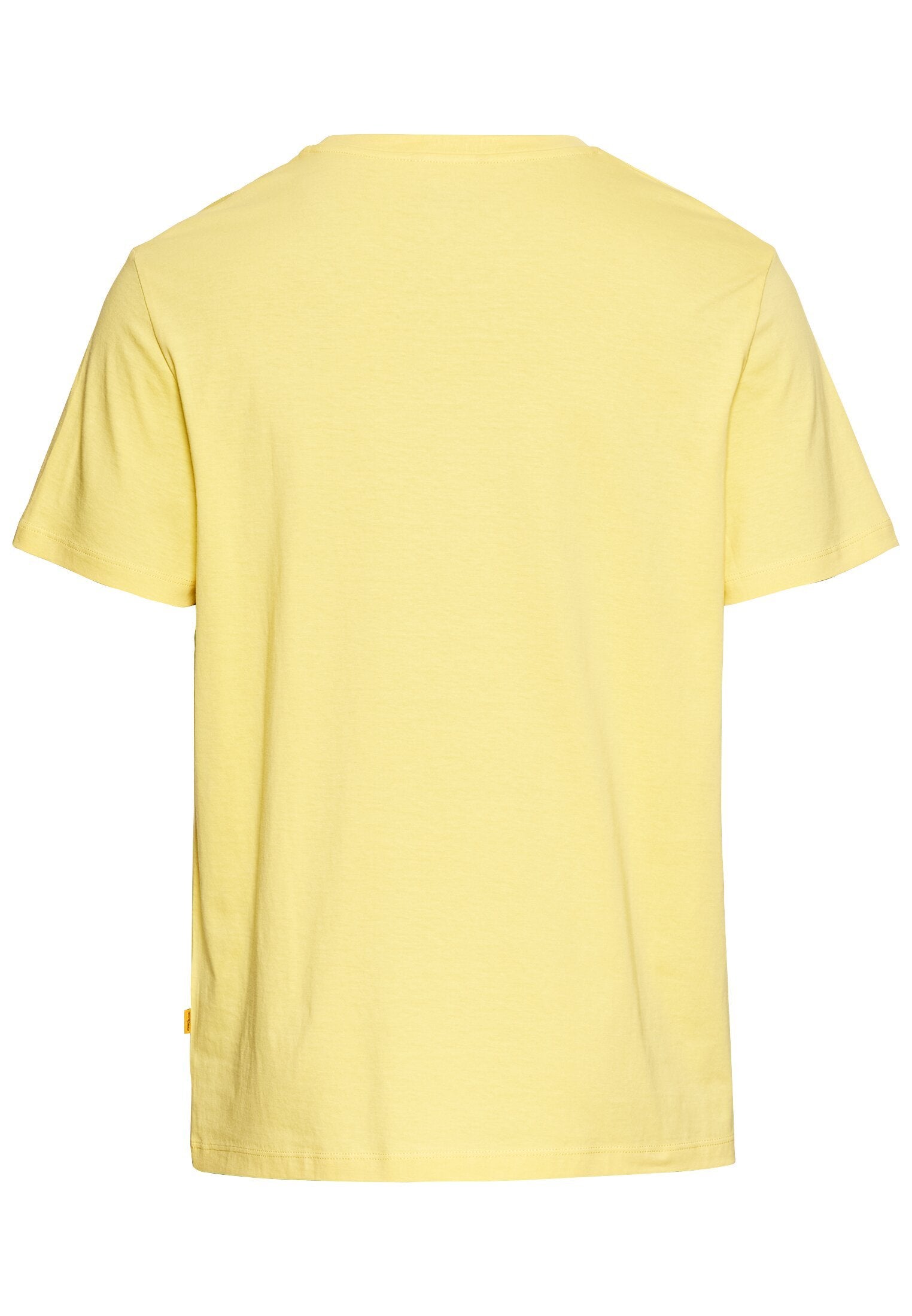 Basic T-Shirt aus reiner Baumwolle (Dusty Citron)