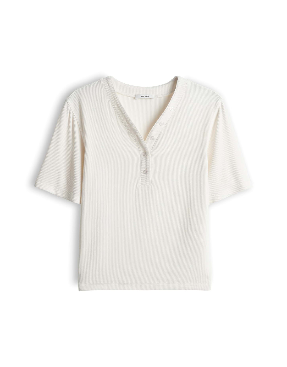 Sanez (Light Cotton)