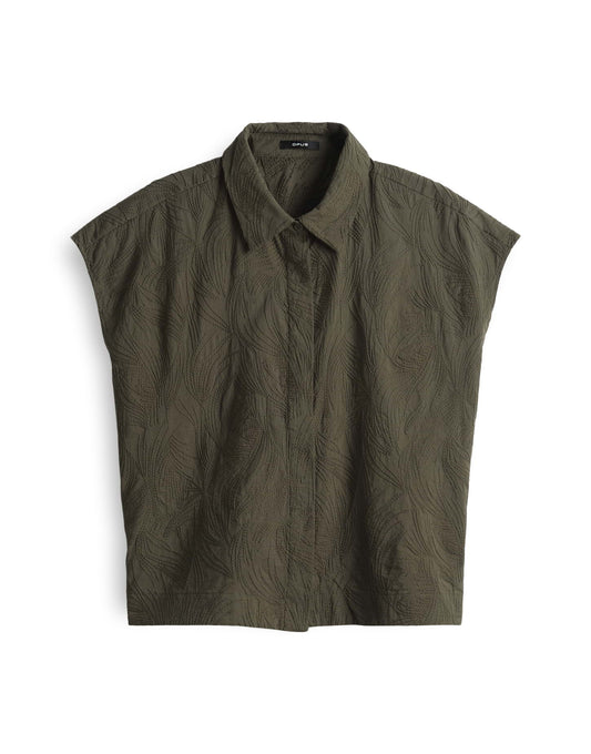 Falme (Olive Leaf)