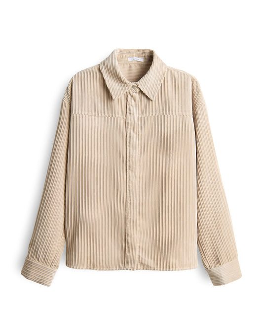 Flanky (Macadamia)