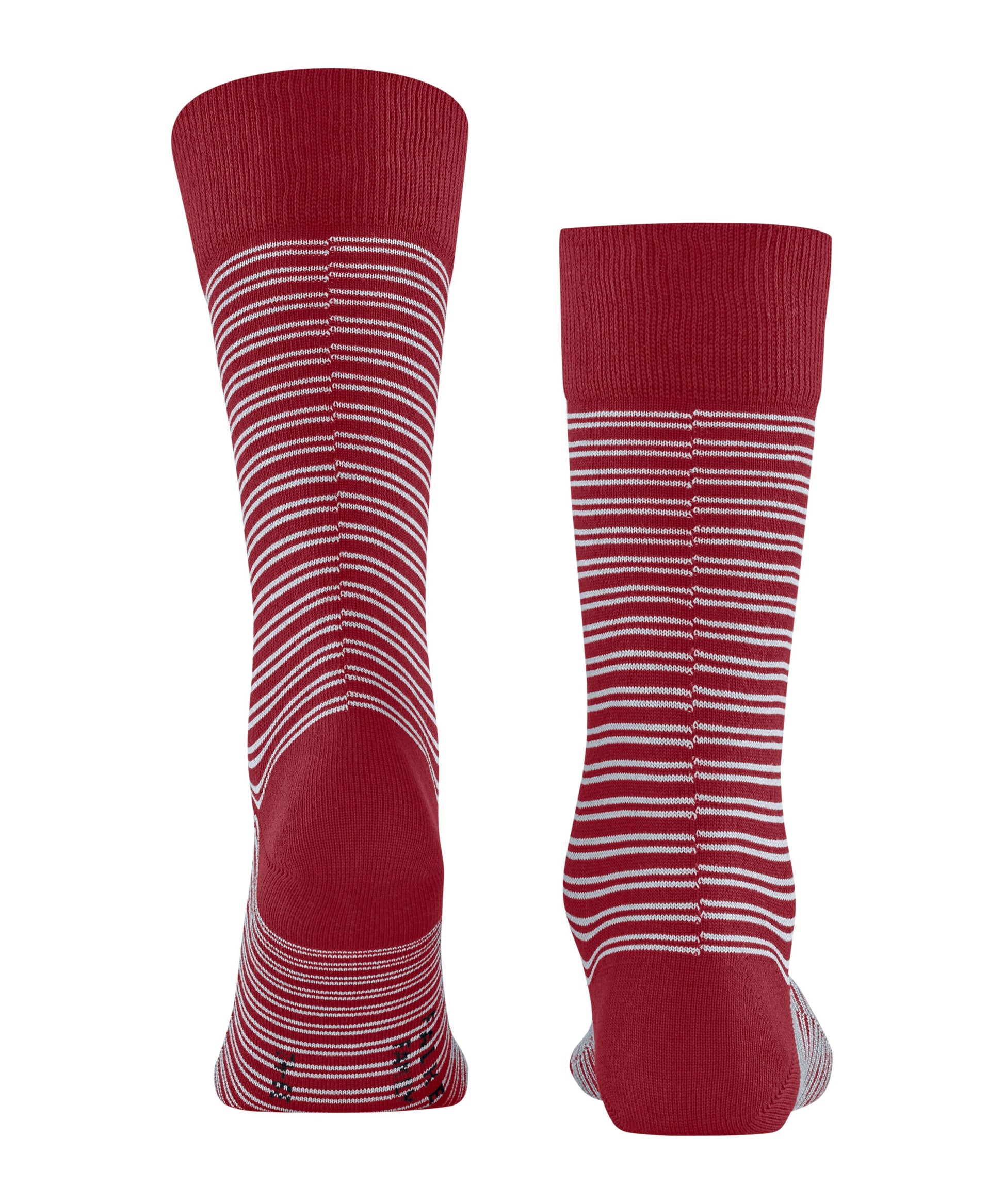 FALKE Family Special Edition Herren (Scarlet)