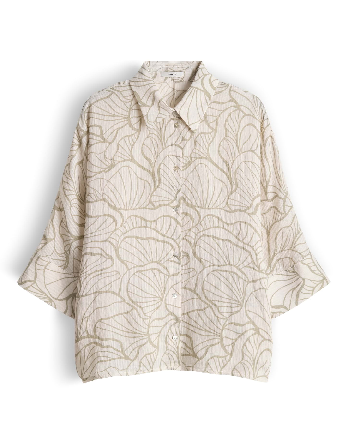 Fashell (Pale Olive)
