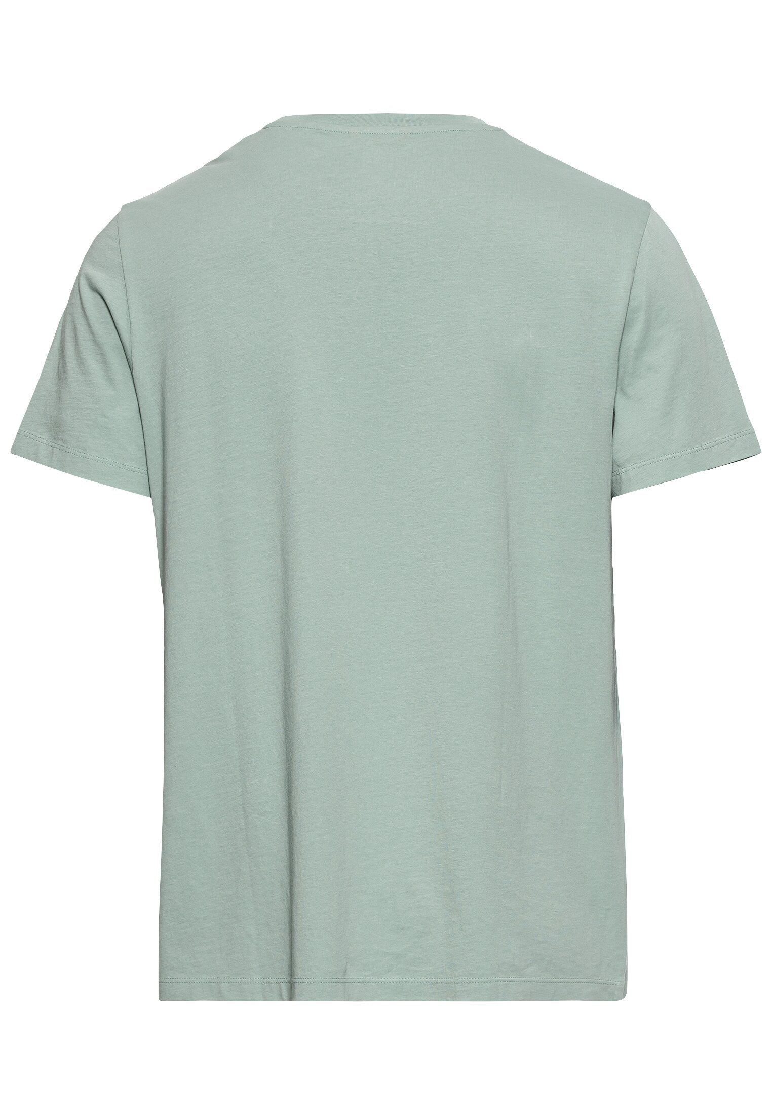 Jersey T-Shirt aus zertifiziertem Organic Cotton (Aqua Green)