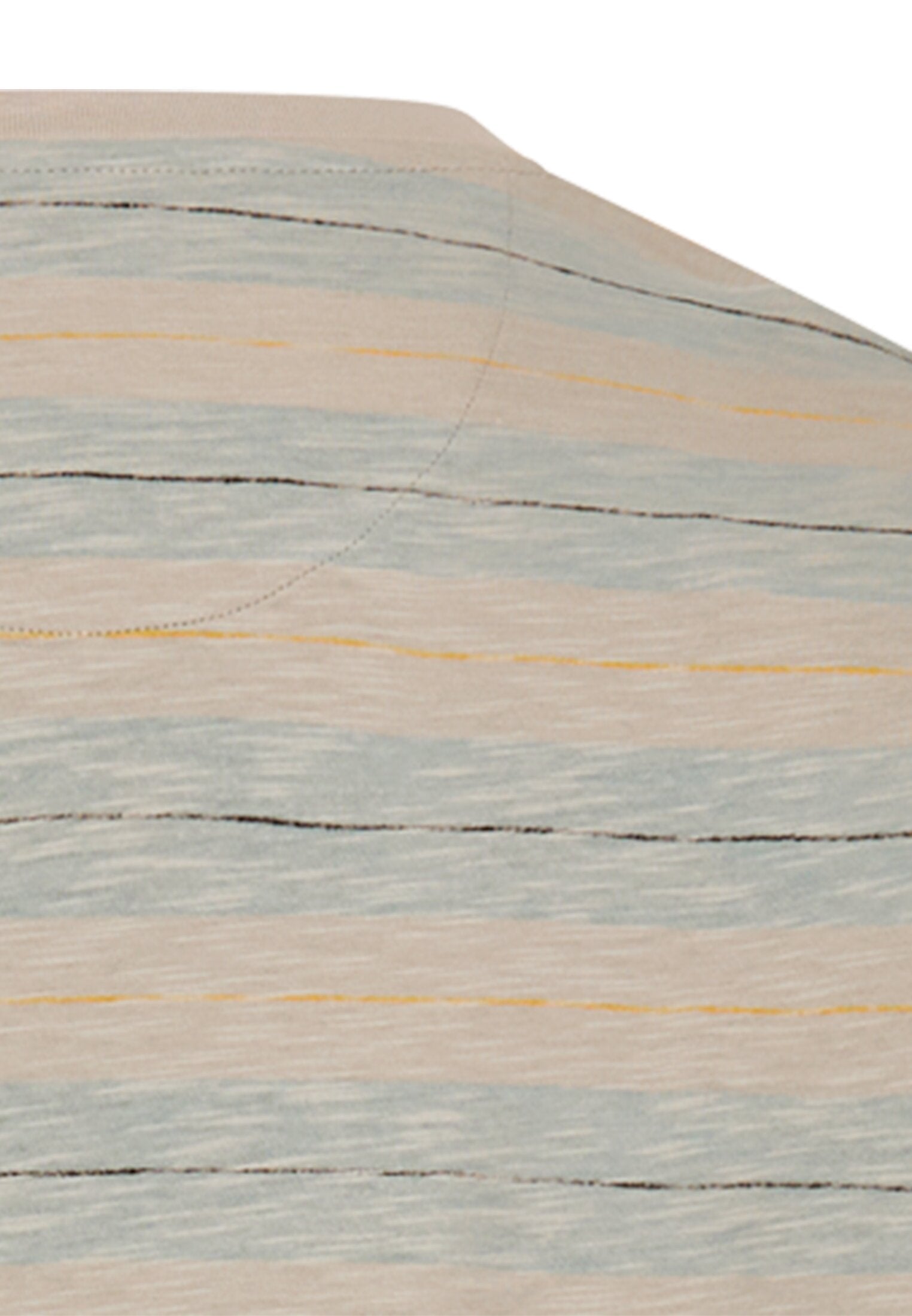 T-Shirt aus reiner Baumwolle (Aqua Blue)