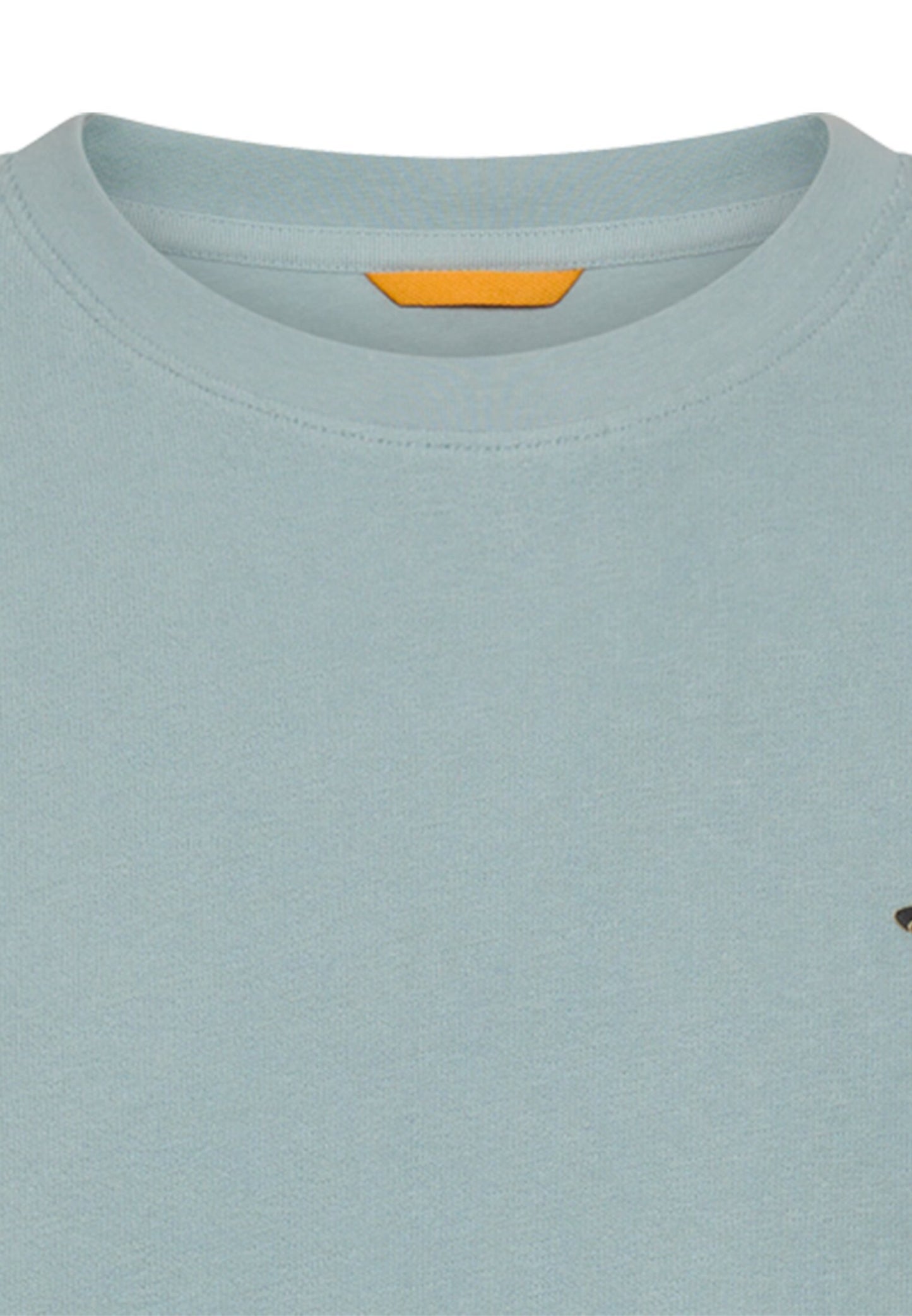 T-Shirt aus reiner Baumwolle (Aqua Blue)