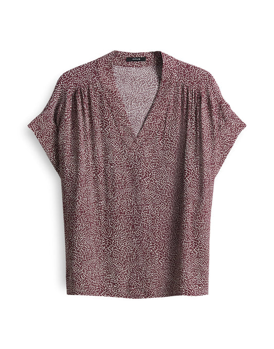 Filva minimal (Cassis)