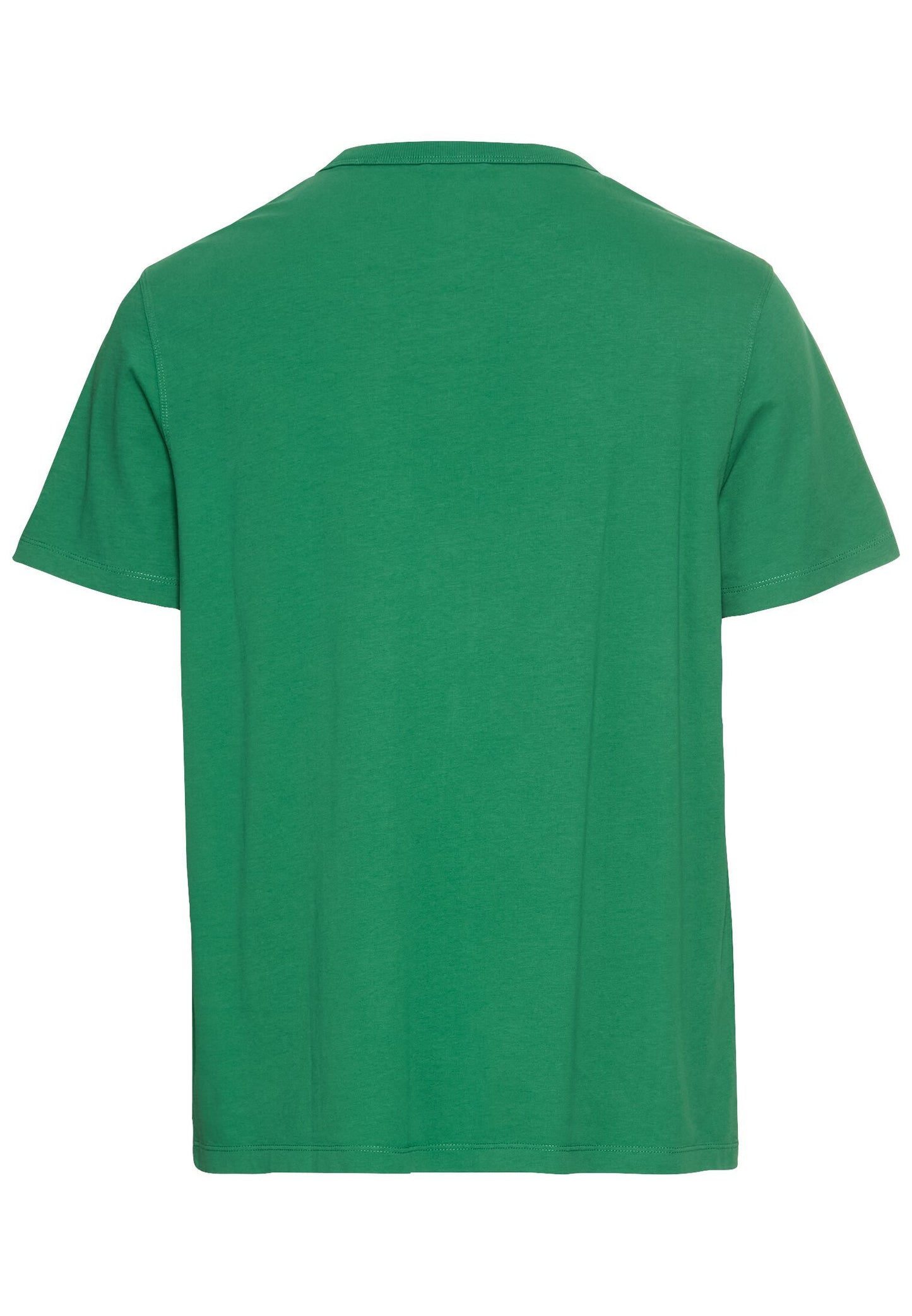 T-Shirt aus reiner Baumwolle (Fir Green)