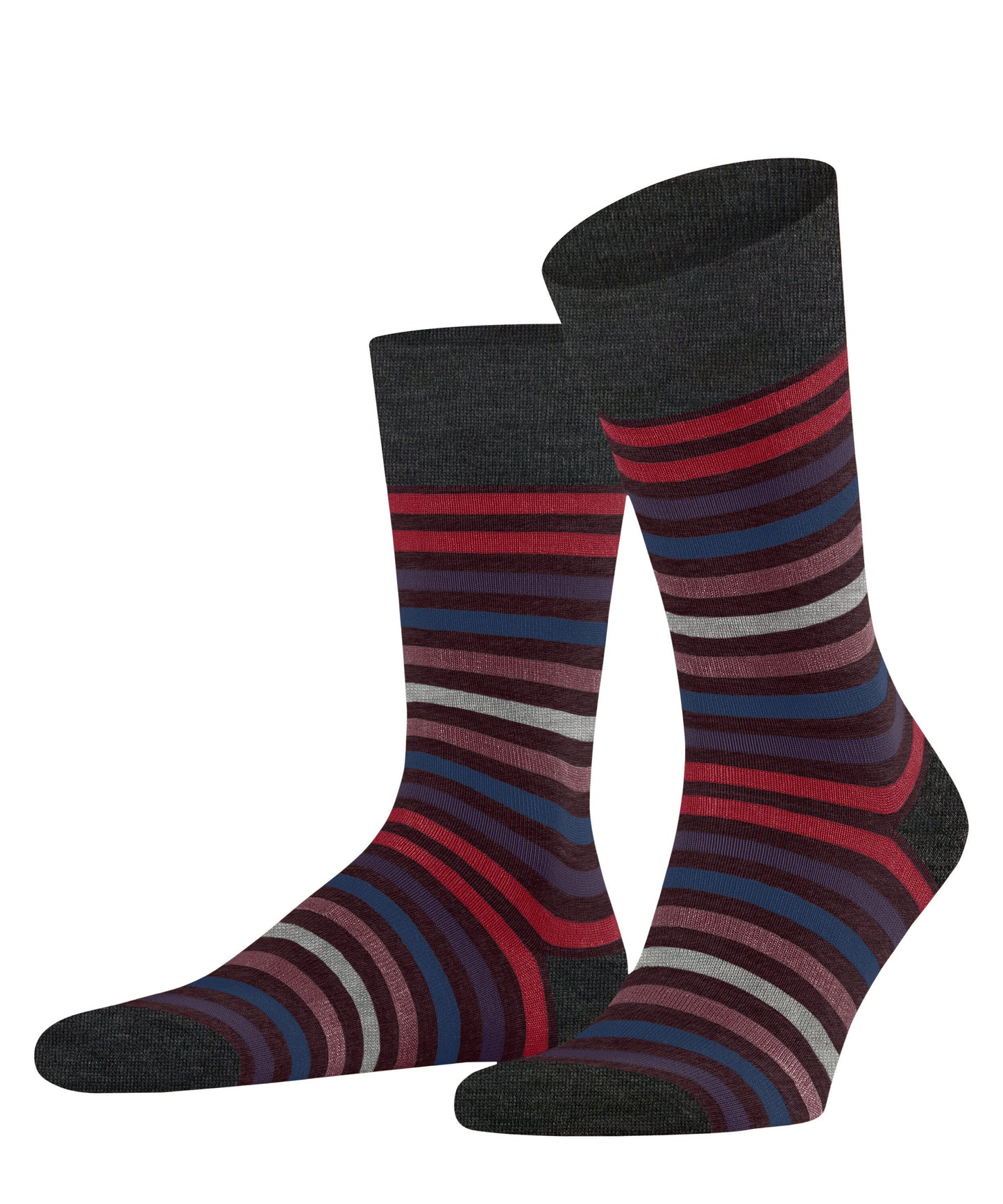 FALKE Tinted Stripe Herren (Barolo)