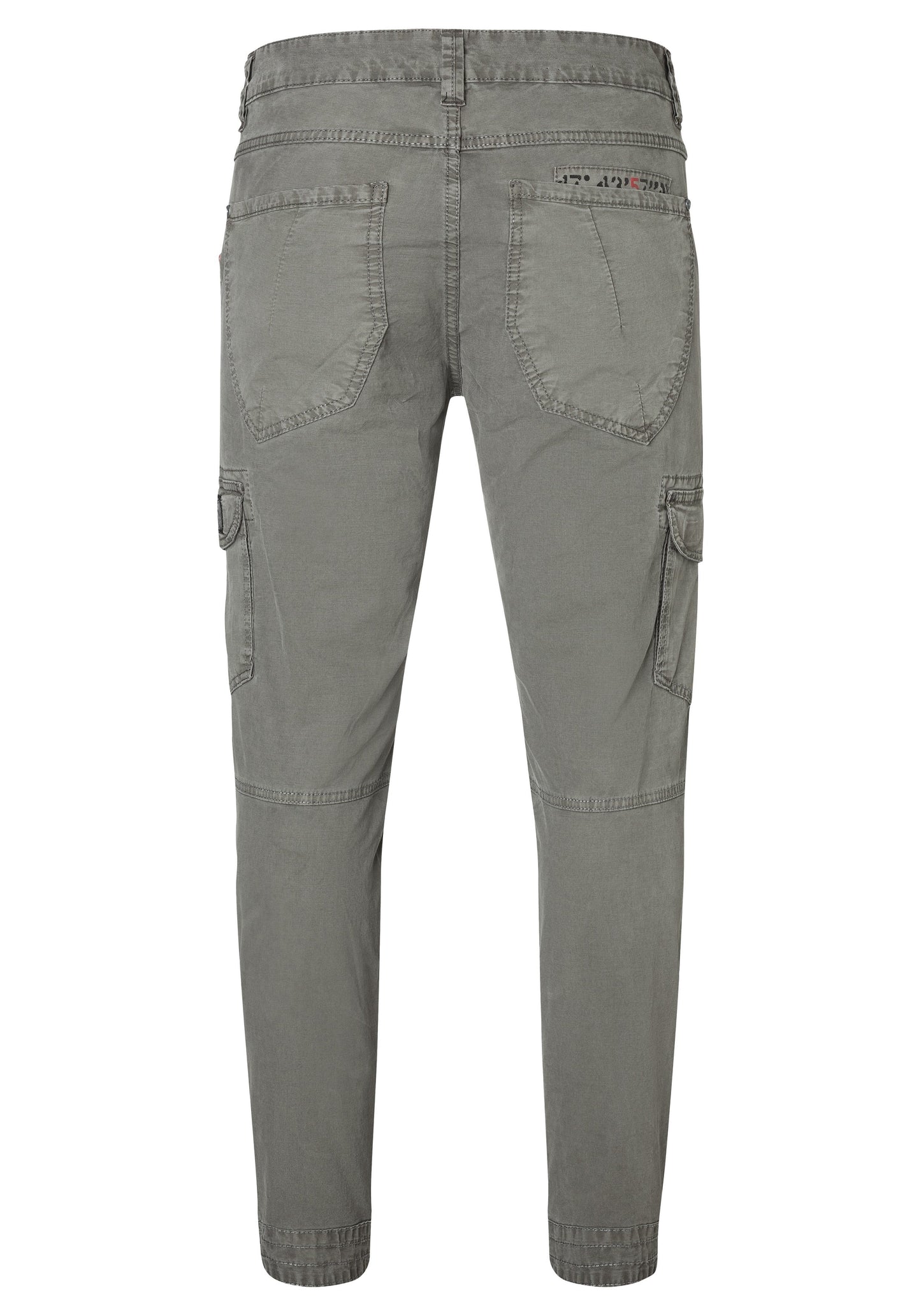 Regular RogerTZ (Washed Metal Gr)