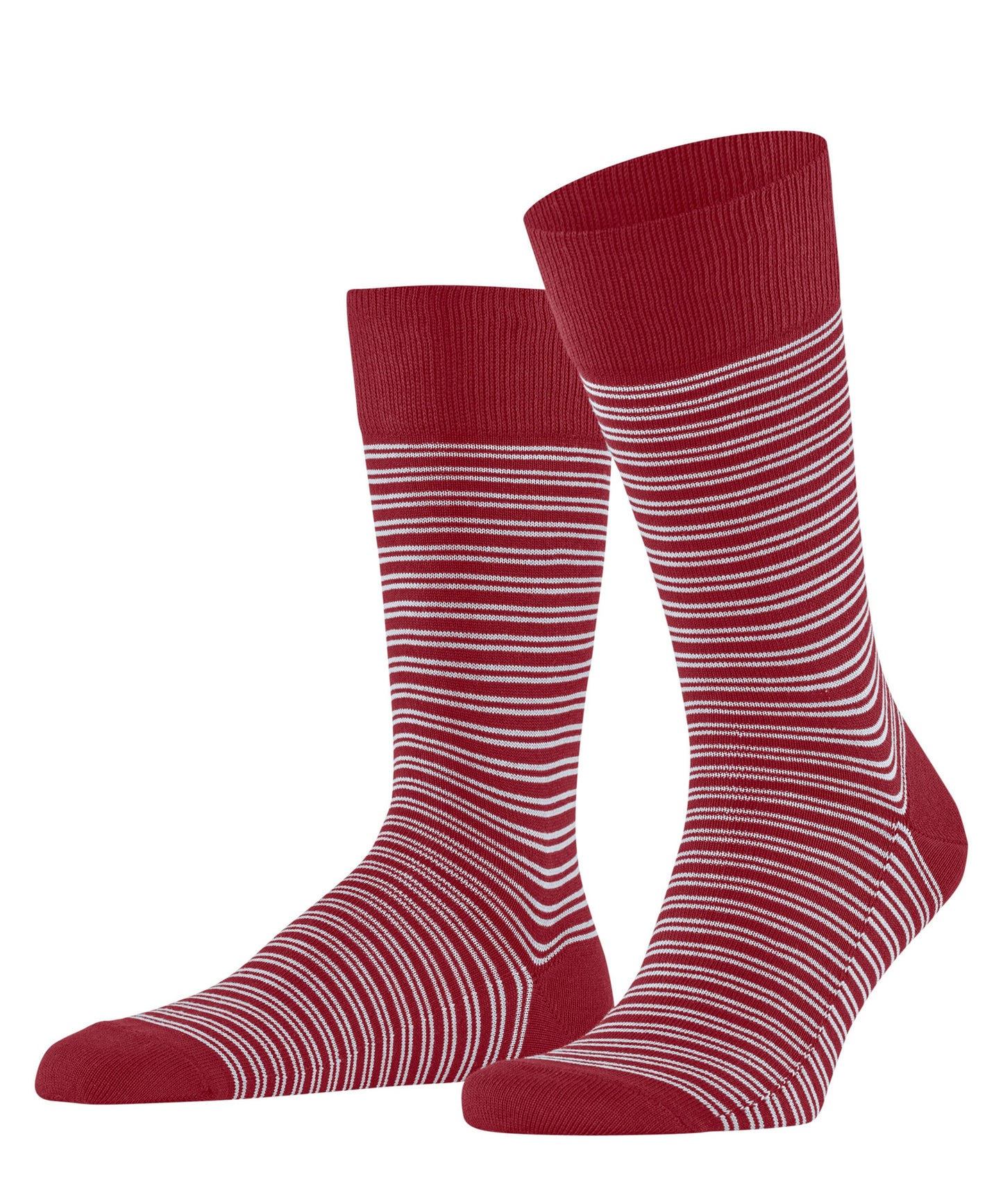 FALKE Family Special Edition Herren (Scarlet)