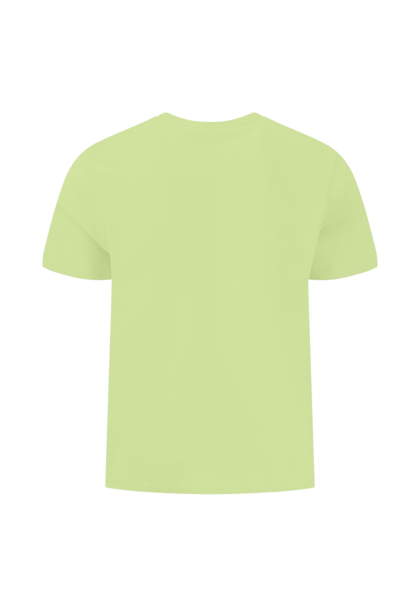 T-shirt, basic, single jersey (Pear)