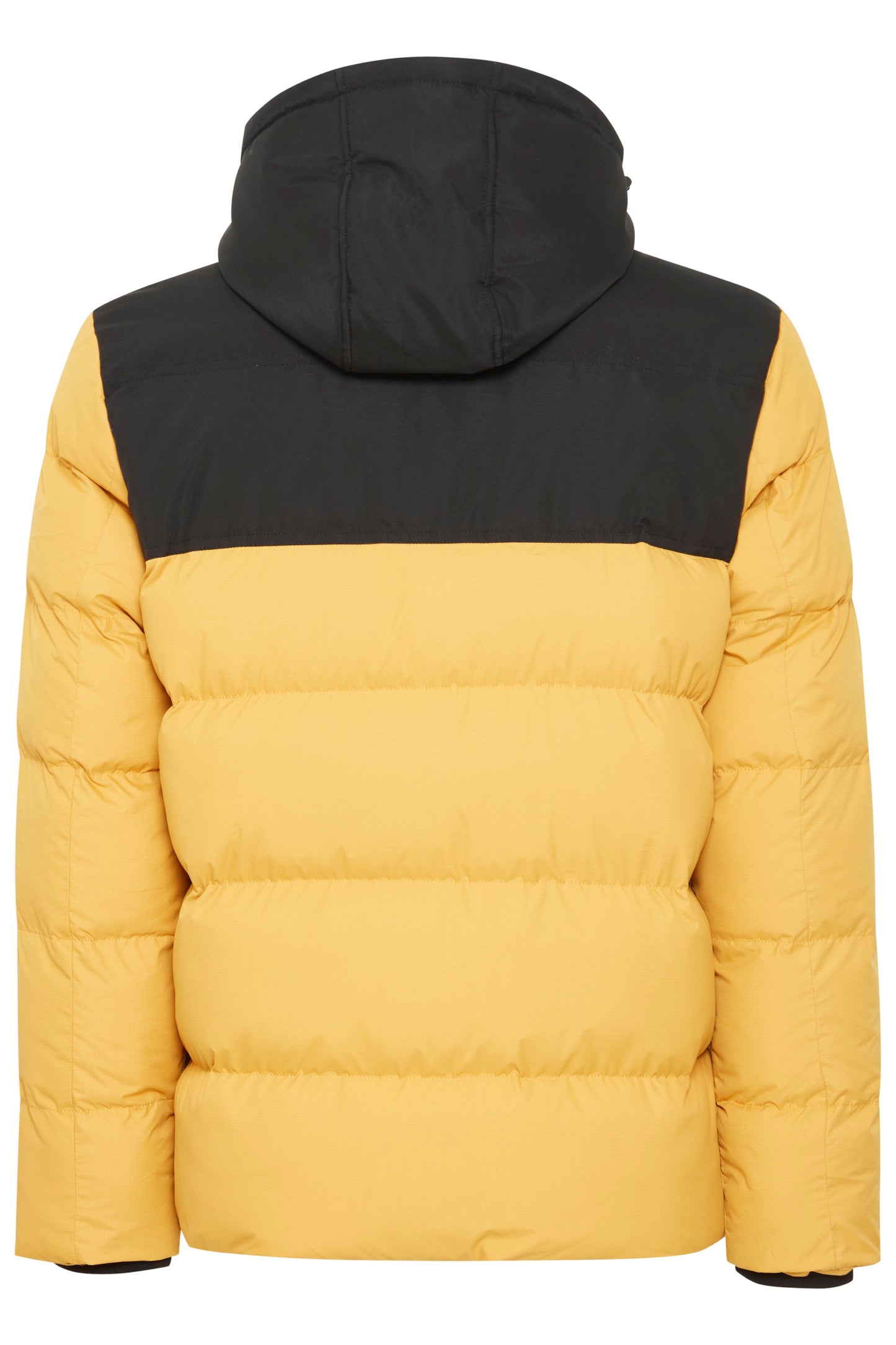 Outerwear (Narcissus)