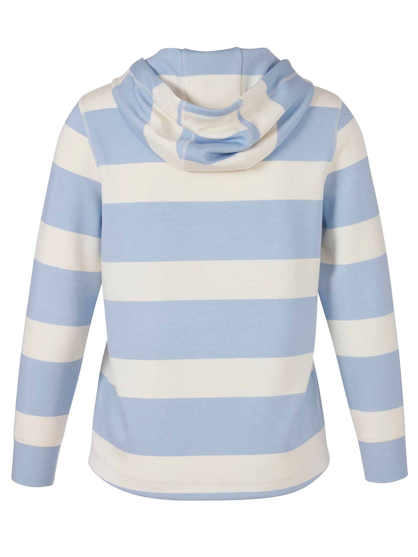 Sweatshirt Kapuze 1/1 Arm Druck (Powder Blue /)
