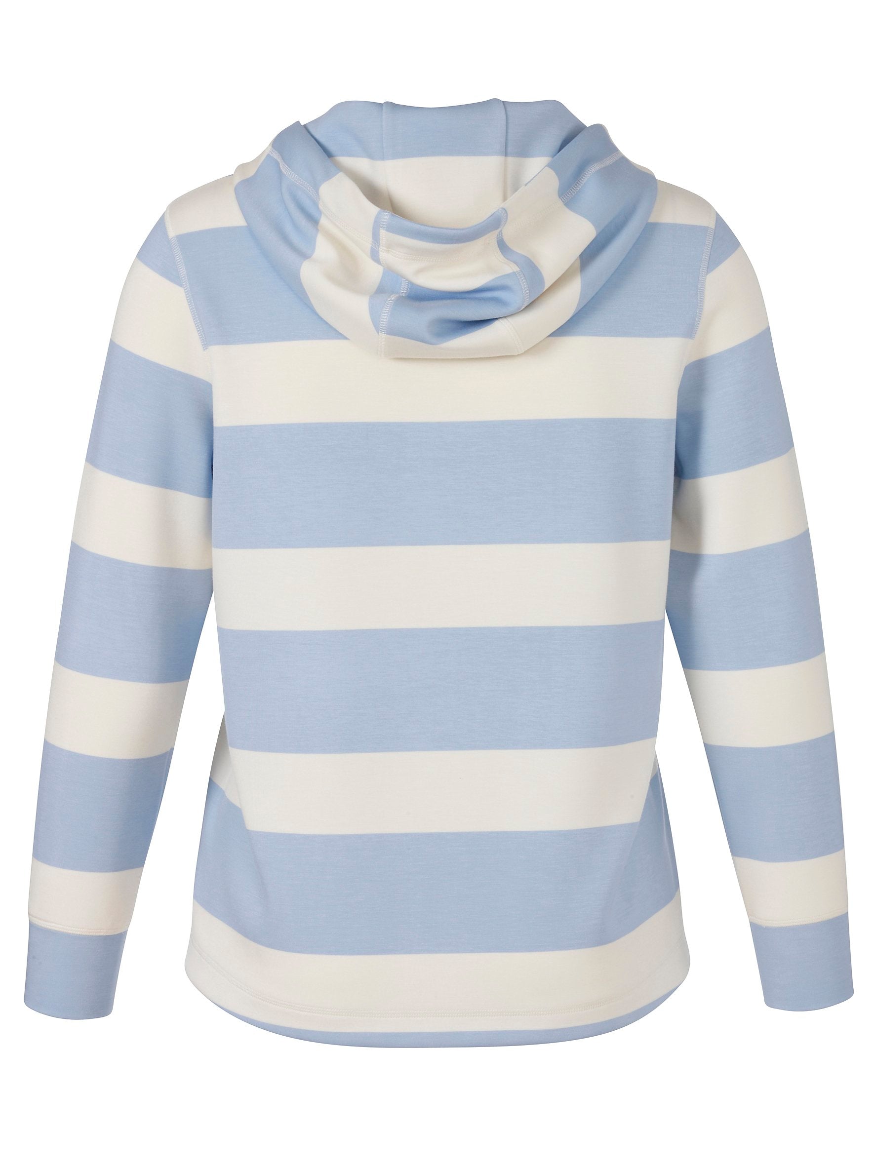 Sweatshirt Kapuze 1/1 Arm Druck (Powder Blue /)