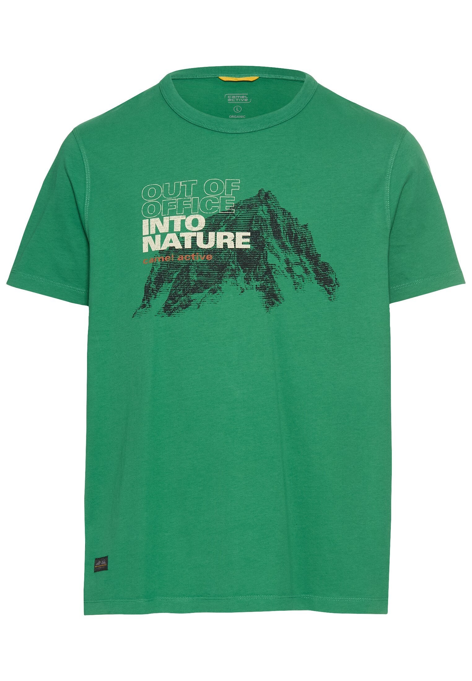 T-Shirt aus reiner Baumwolle (Fir Green)