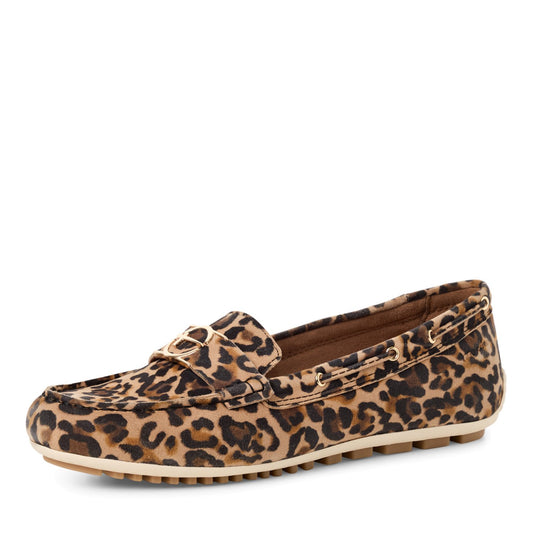 Slipper (Leopard)