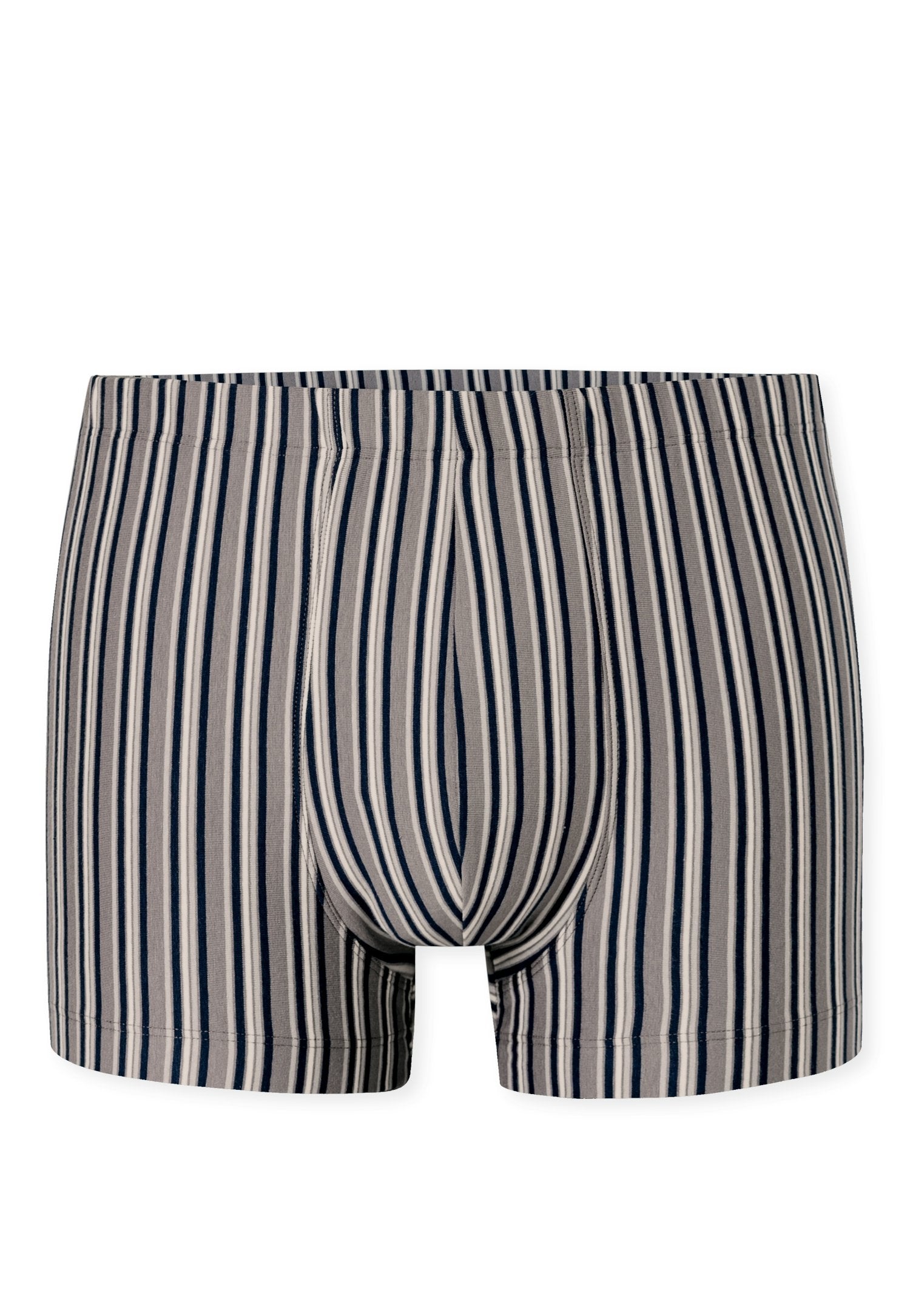 Shorts (Grau)