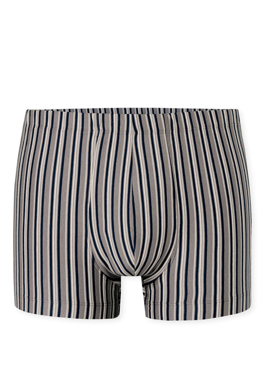 Shorts (Grau)