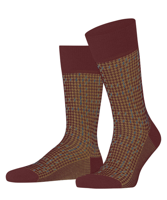 FALKE Family Special Edition Herren (Cayenne)