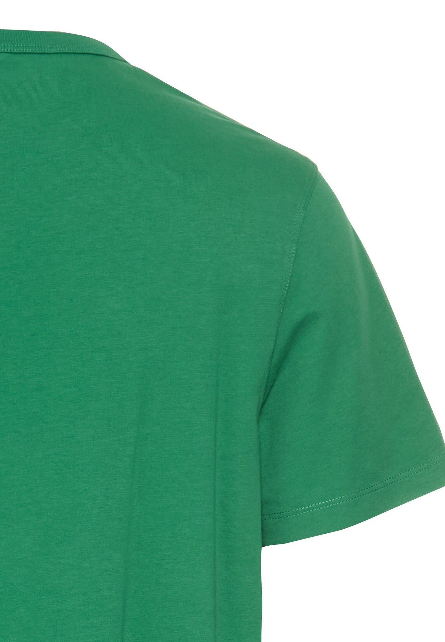 T-Shirt aus reiner Baumwolle (Fir Green)
