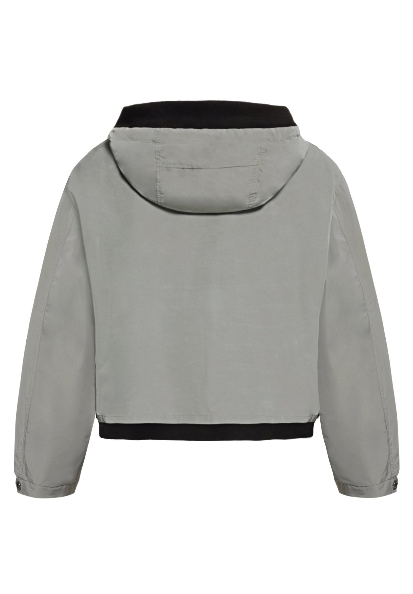 Sommerjacke (Salvia)