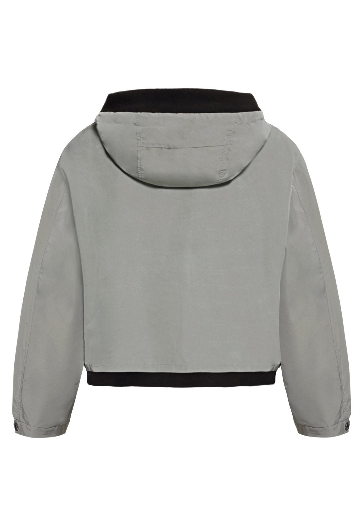Sommerjacke (Salvia)